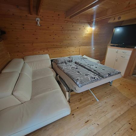 Koca Planika, Sviscaki Villa Ilirska Bistrica Buitenkant foto