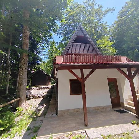 Koca Planika, Sviscaki Villa Ilirska Bistrica Buitenkant foto