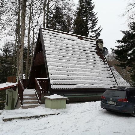 Koca Planika, Sviscaki Villa Ilirska Bistrica Buitenkant foto