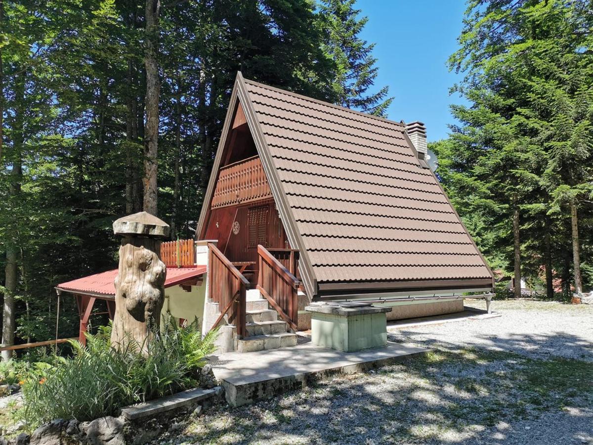 Koca Planika, Sviscaki Villa Ilirska Bistrica Buitenkant foto