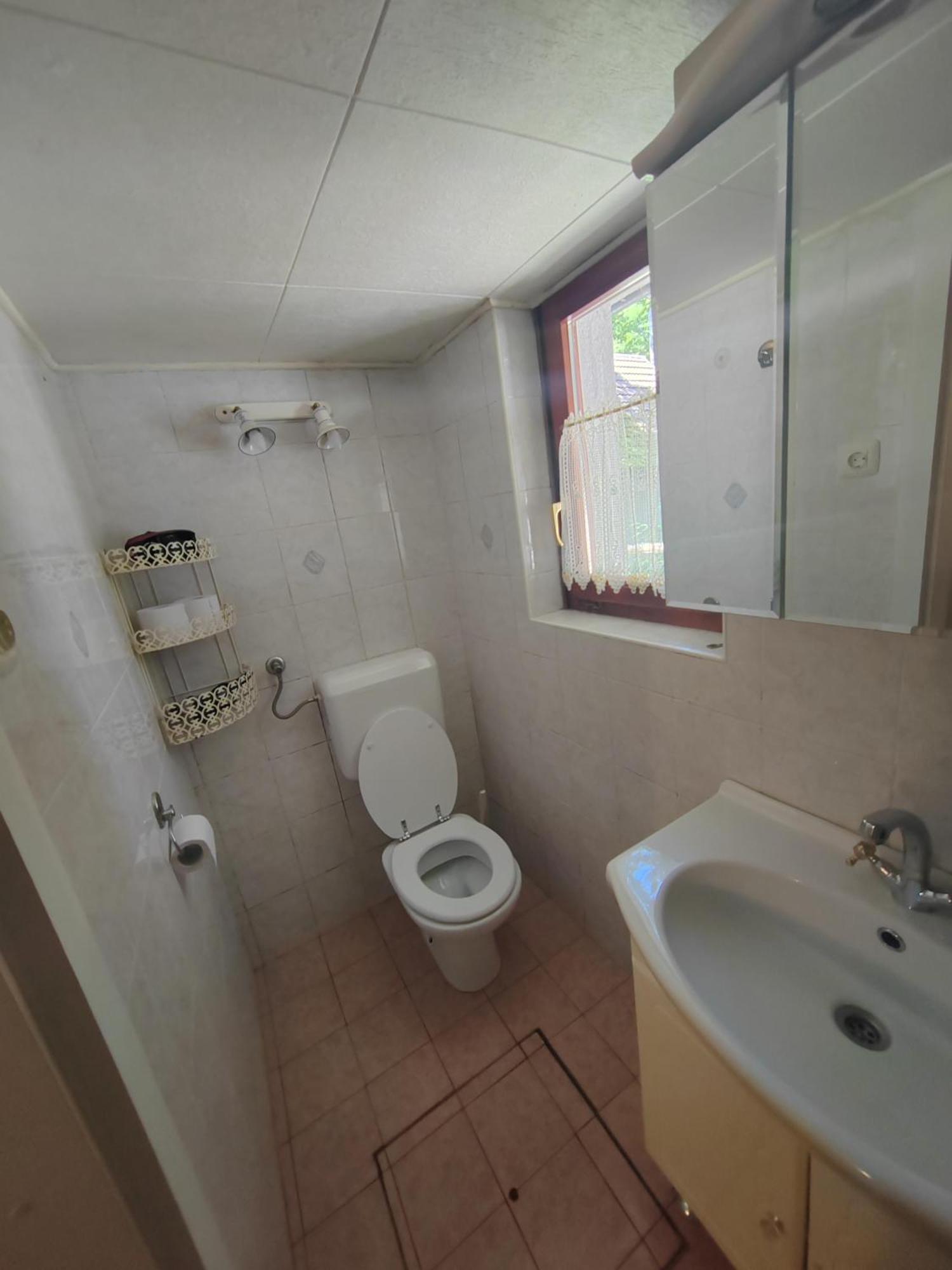 Koca Planika, Sviscaki Villa Ilirska Bistrica Buitenkant foto