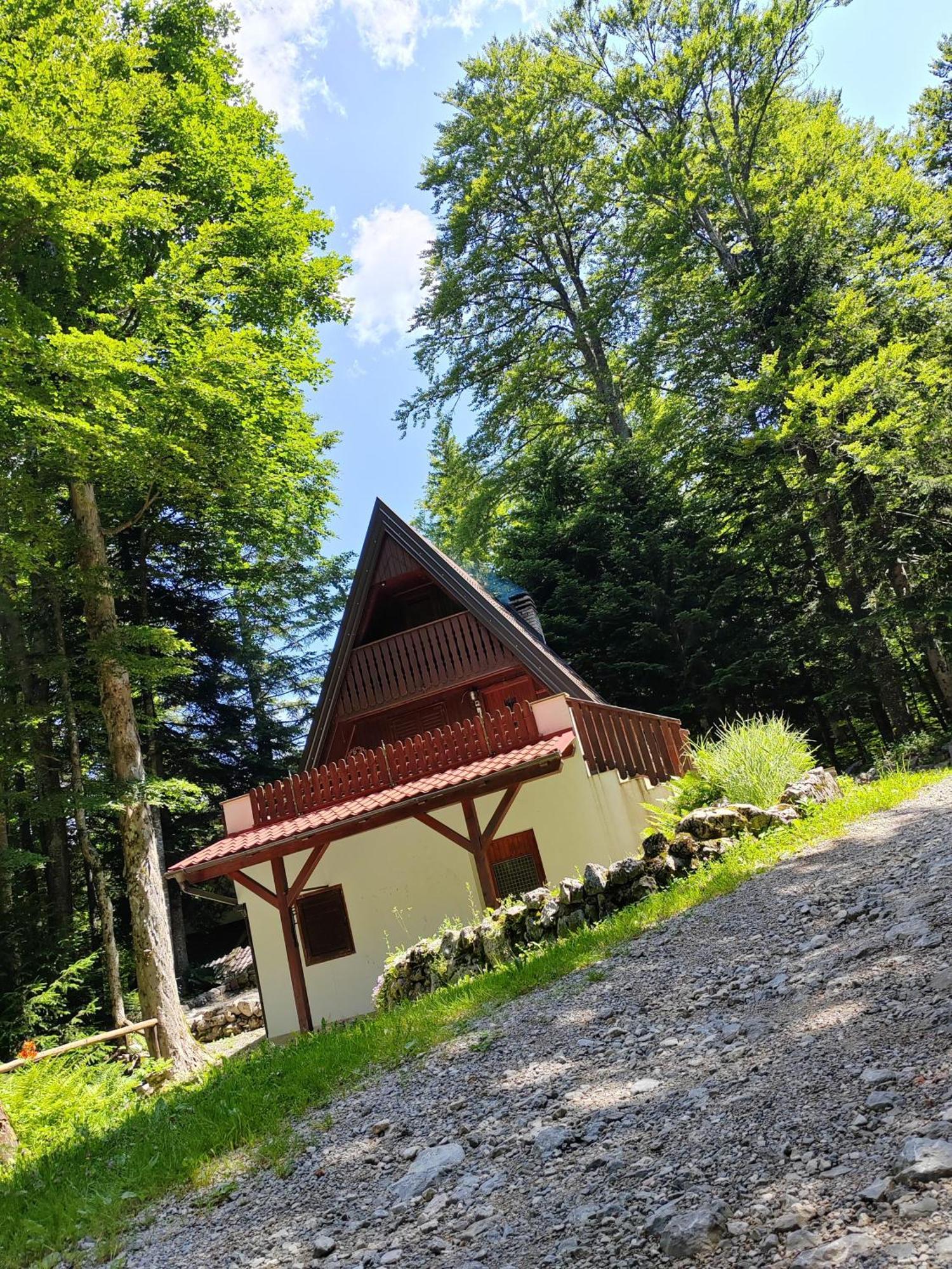 Koca Planika, Sviscaki Villa Ilirska Bistrica Buitenkant foto
