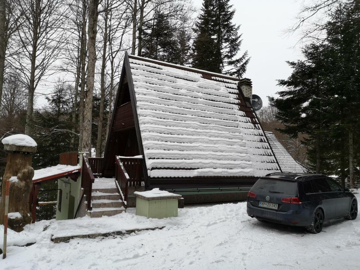 Koca Planika, Sviscaki Villa Ilirska Bistrica Buitenkant foto